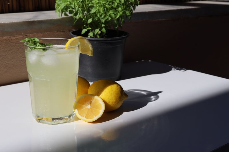 Fresh lemonade with mint garnish